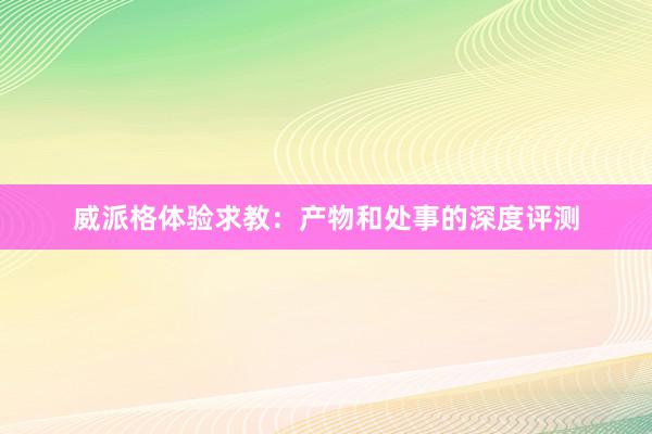 威派格体验求教：产物和处事的深度评测